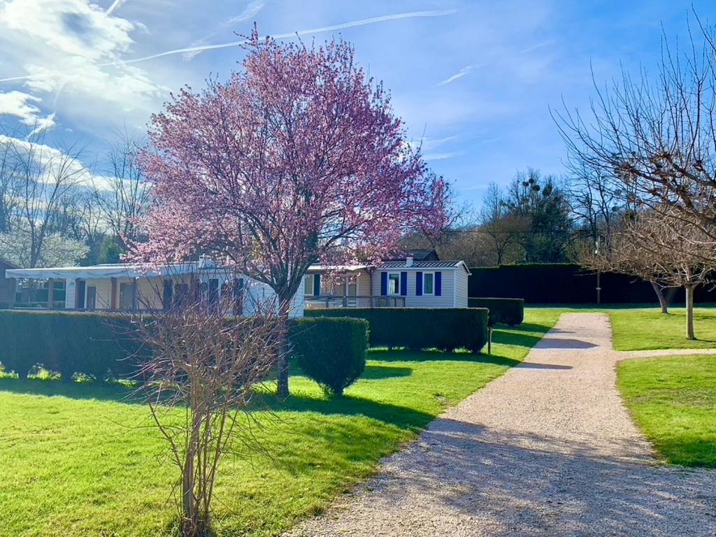 Camping Familial Paisible Avec Piscine, Mobil Home , Chalet, Studio & Emplacement Nue Casties-Labrande 외부 사진